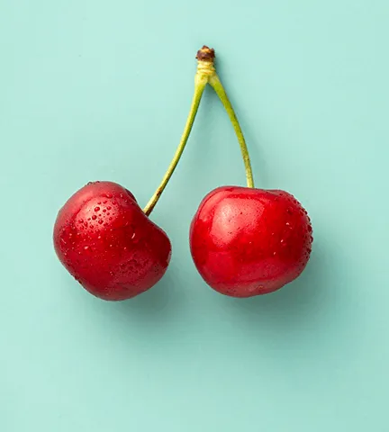 expert website design services